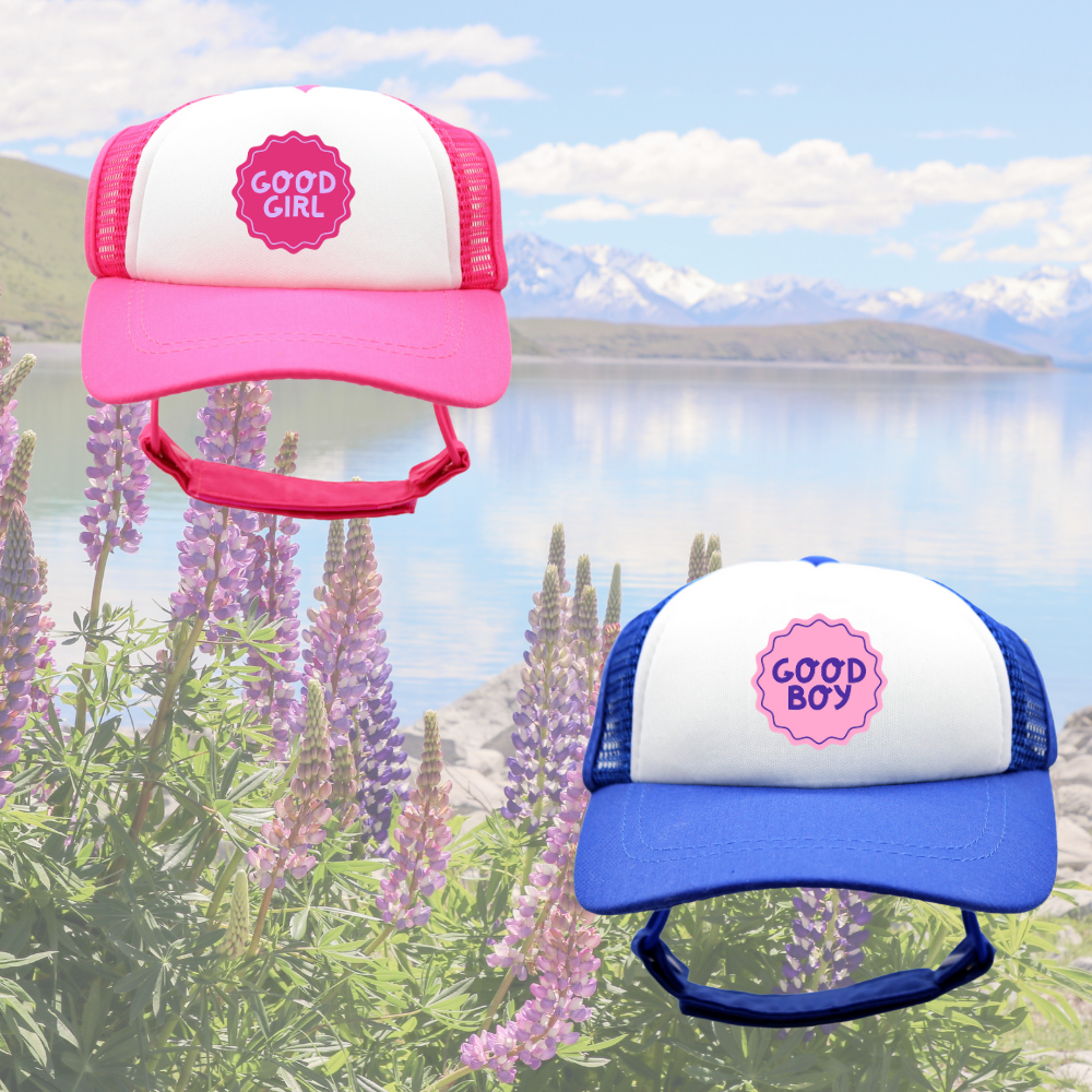 Good Boy & Good Girl Badges