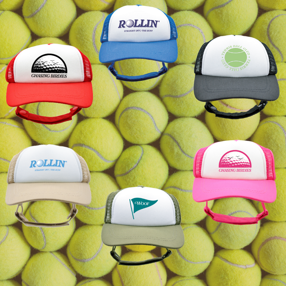 Sport Collection | PupLid | Trucker Hats for Dogs