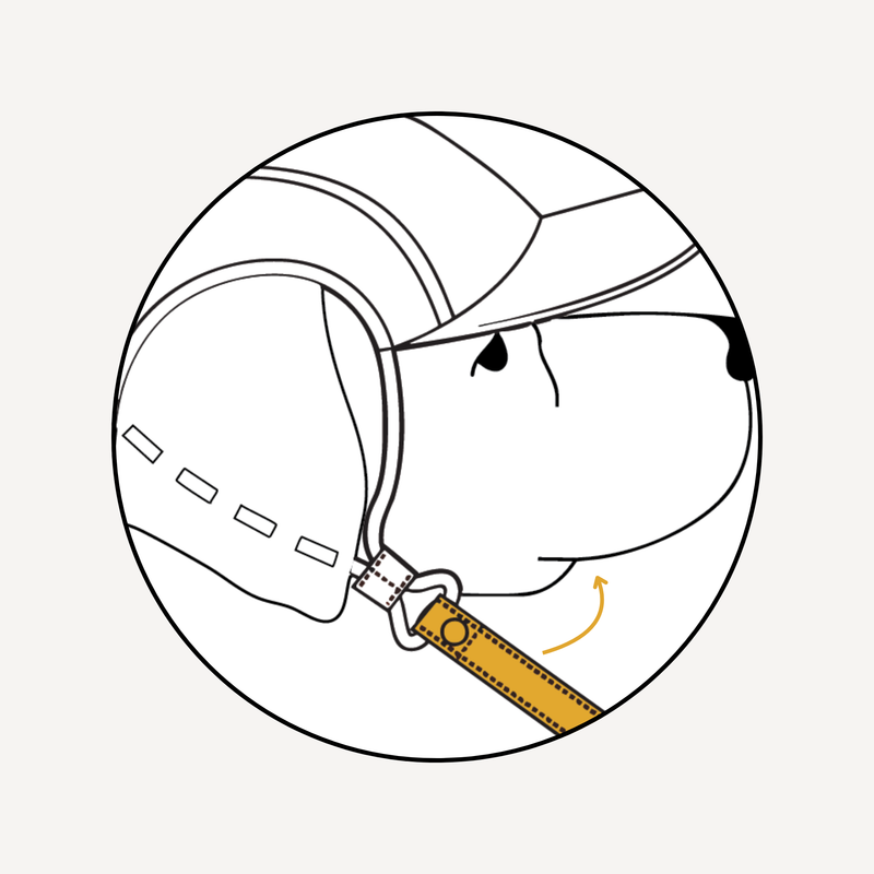 Don't include the ears or the fur if your pet is fluffy.