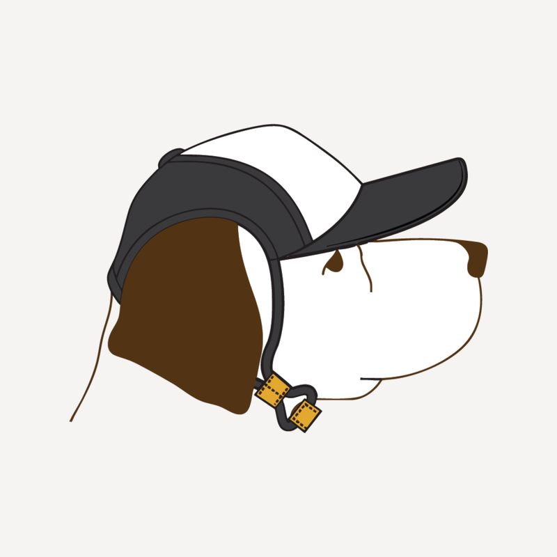 Ready for adventure!