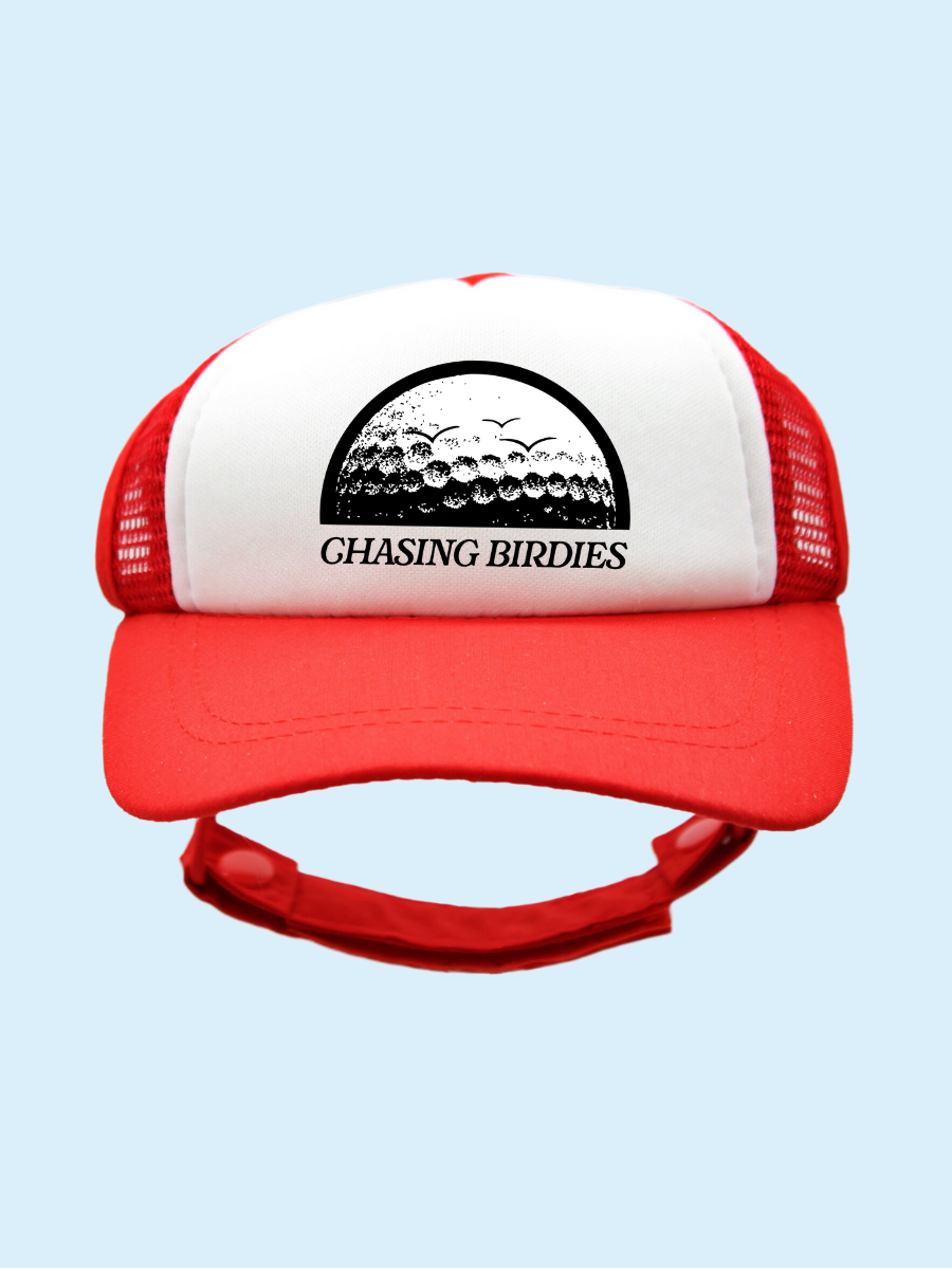 Black Chasing Birdies | PupLid Trucker Hats for Dogs | Duke & Daisee NZ