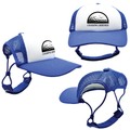 Black Chasing Birdies | PupLid Trucker Hats for Dogs | Duke & Daisee NZ