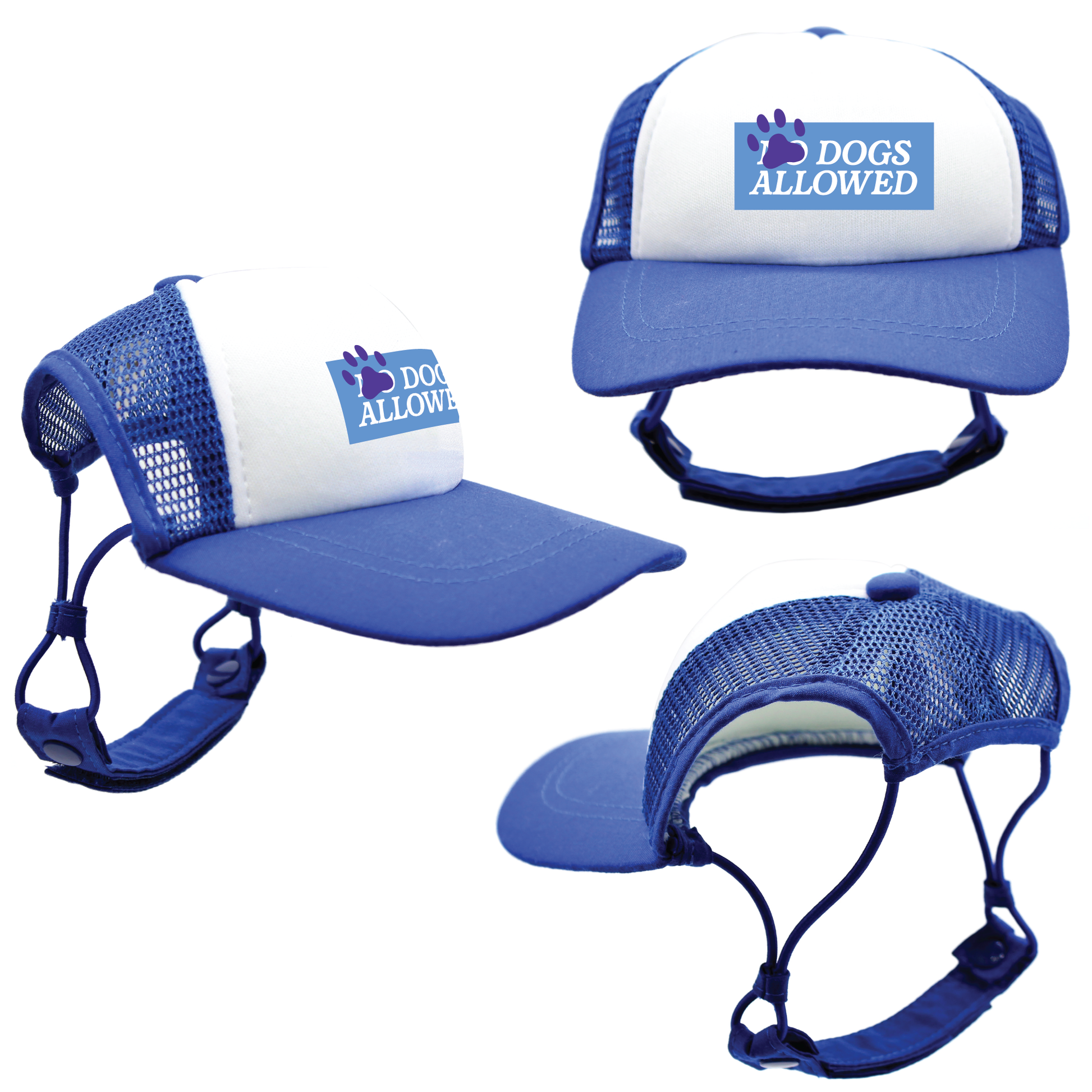 Blue Dogs Allowed | Trucker Hats for Dogs | Duke & Daisee NZ