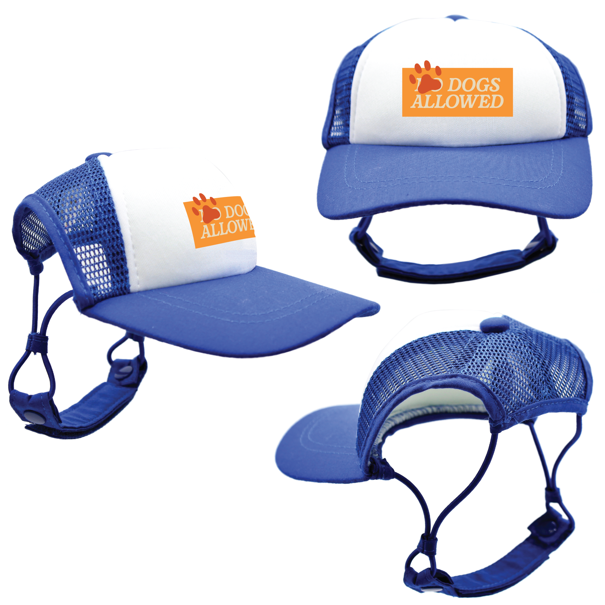 Orange Dogs Allowed | Trucker Hats for Dogs | Duke & Daisee NZ