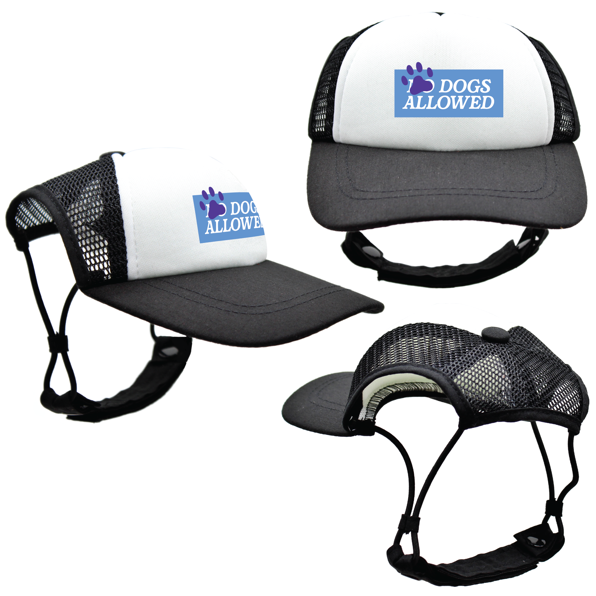 Blue Dogs Allowed | Trucker Hats for Dogs | Duke & Daisee NZ