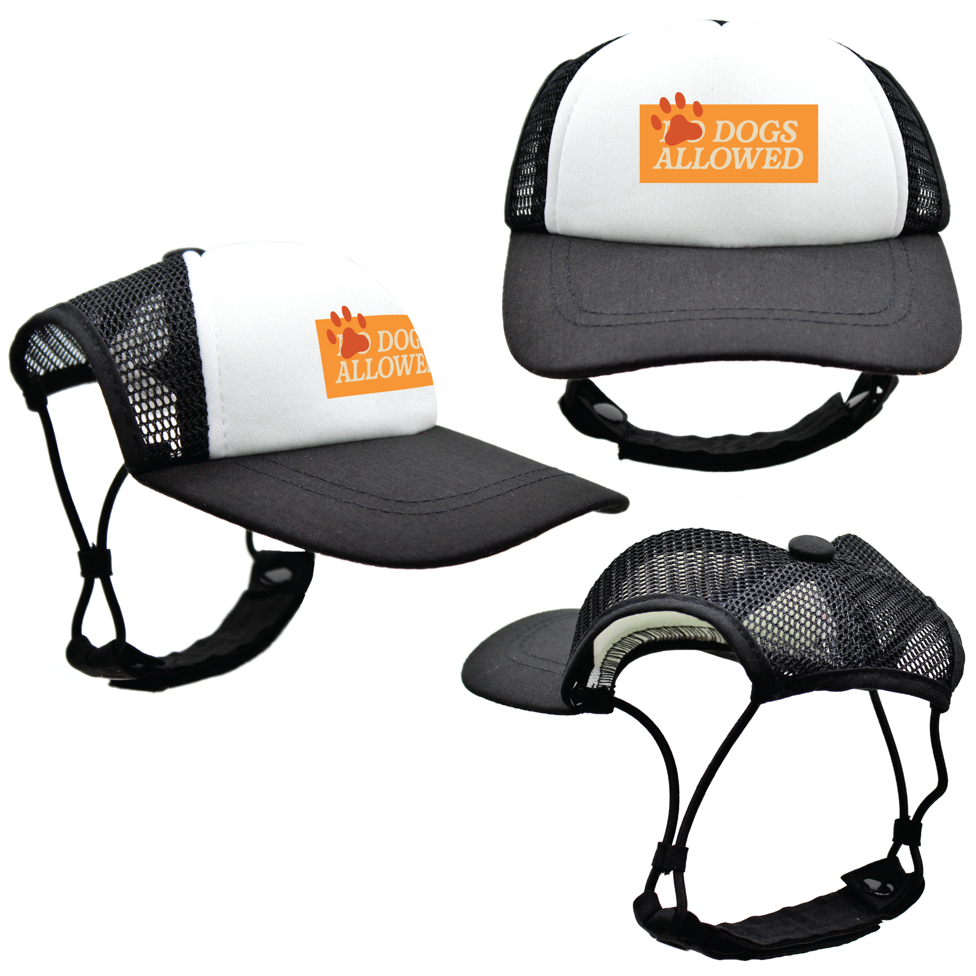 Orange Dogs Allowed | Trucker Hats for Dogs | Duke & Daisee NZ