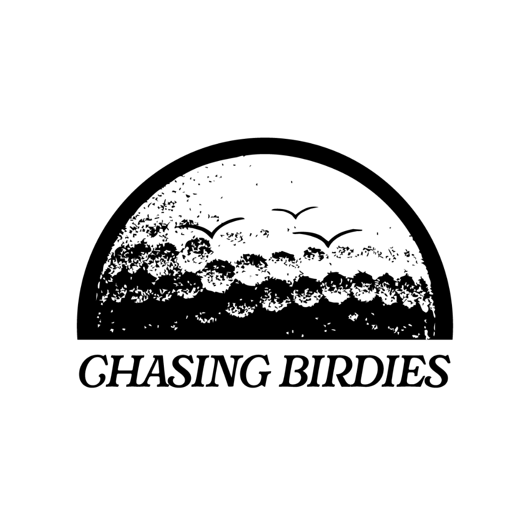 Wholesale | Black Chasing Birdies