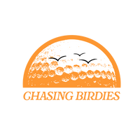 Orange Chasing Birdies
