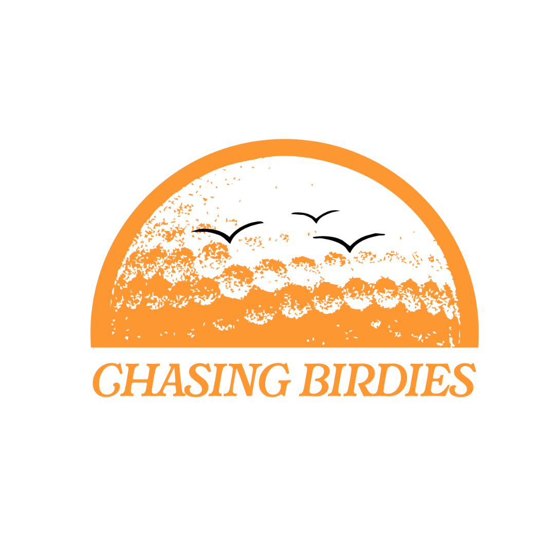 Wholesale | Orange Chasing Birdies