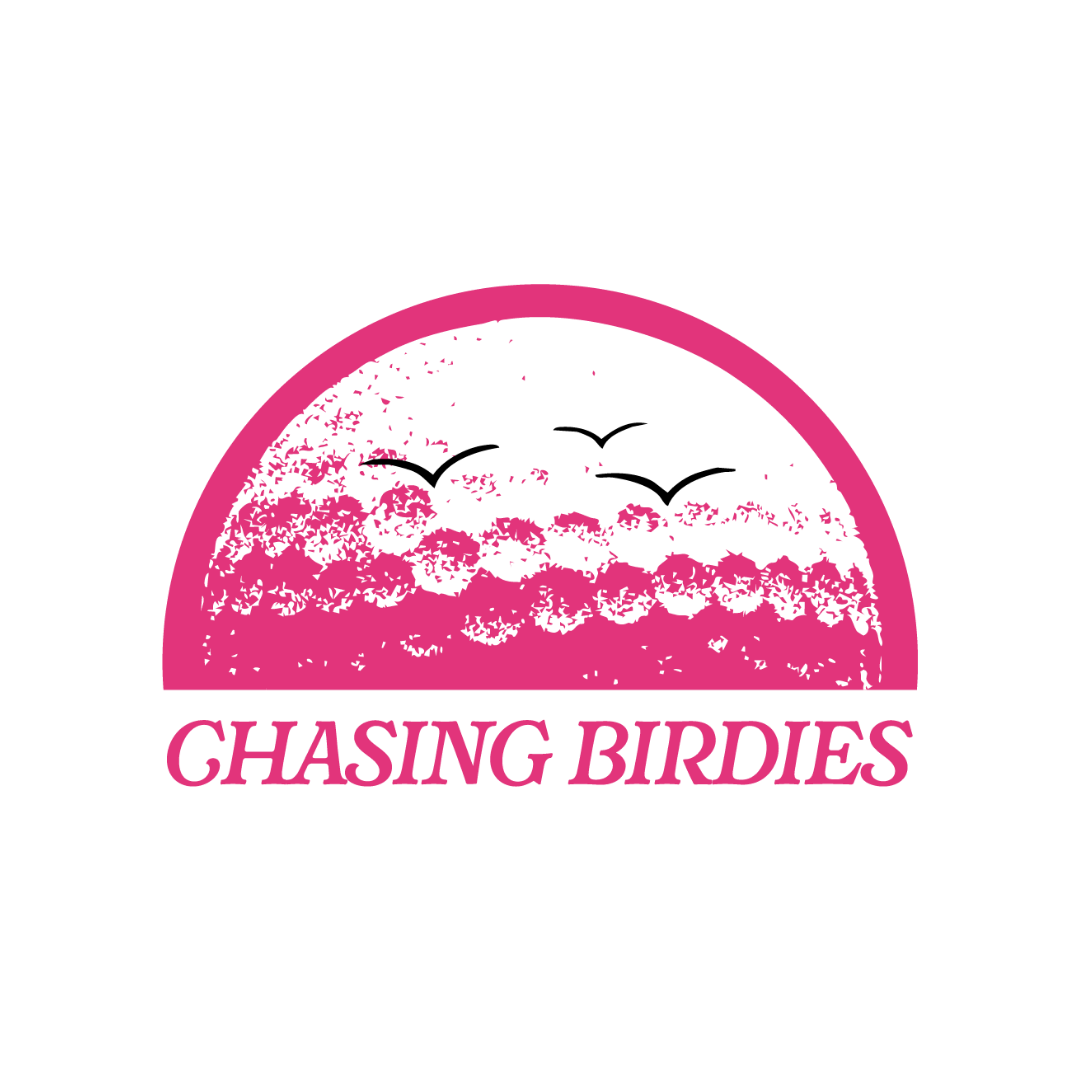 Chasing Birdies | Matching Human Hats | Duke & Daisee NZ