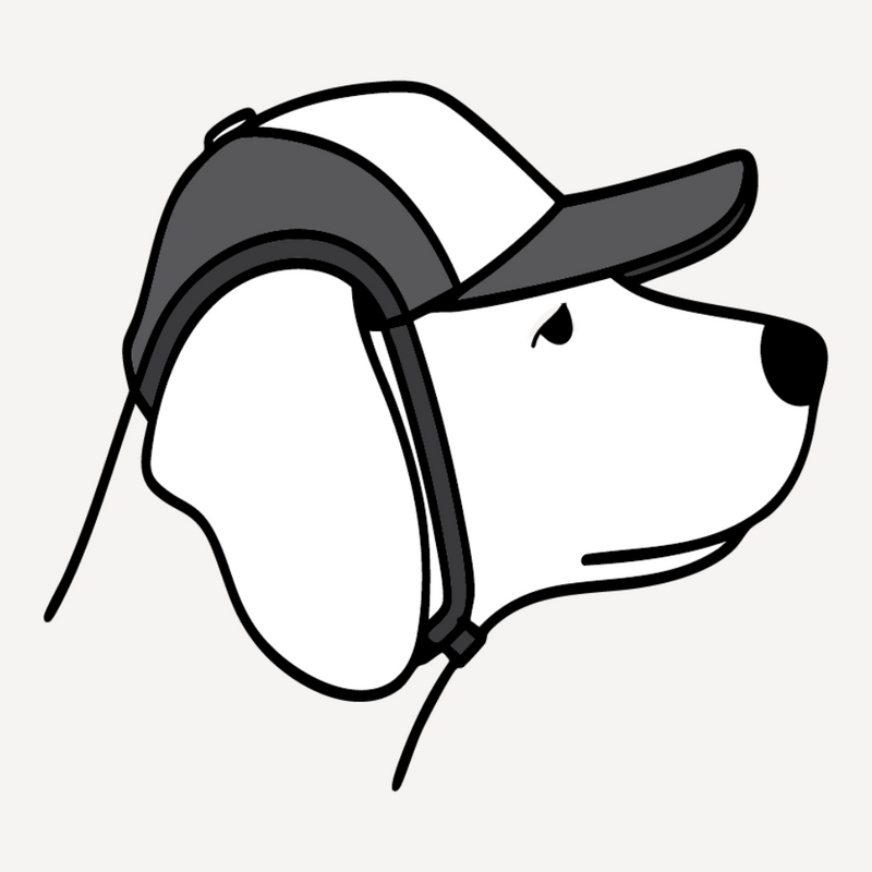 Snap the chinstrap back onto the elastic loops. Result is a larger ear opening for more freedom of ear movement.