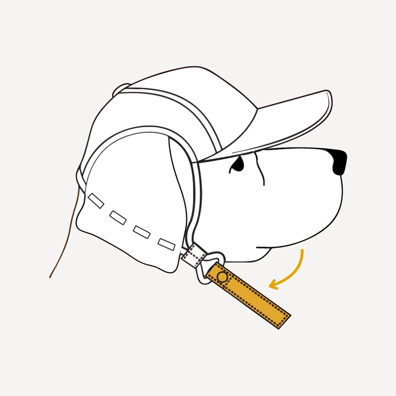 Remove the chinstrap from the elastic loops by unsnapping the buttons.