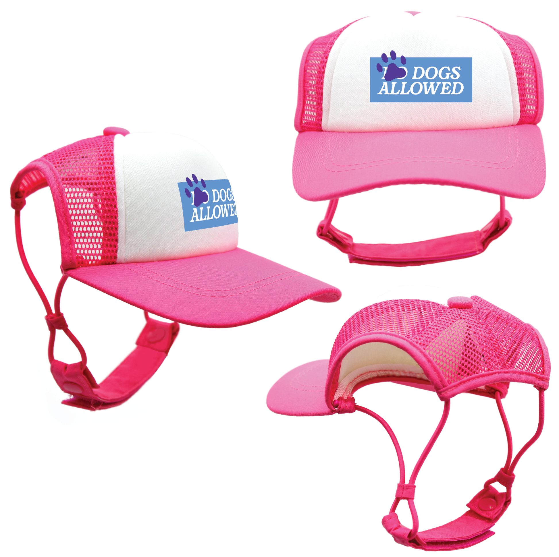 Blue Dogs Allowed | Trucker Hats for Dogs | Duke & Daisee NZ