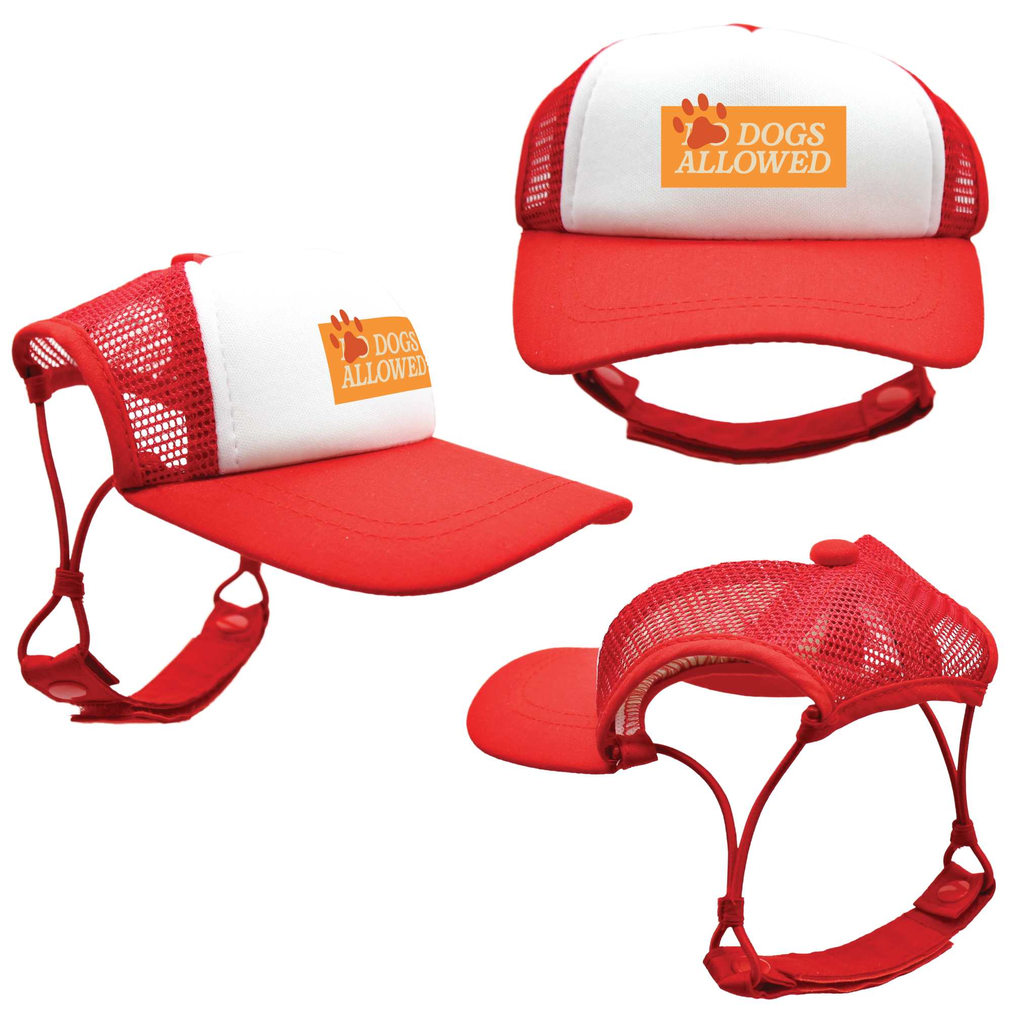 Orange Dogs Allowed | Trucker Hats for Dogs | Duke & Daisee NZ