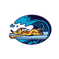 Surf's Up Orange