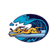 Surf's Up Orange