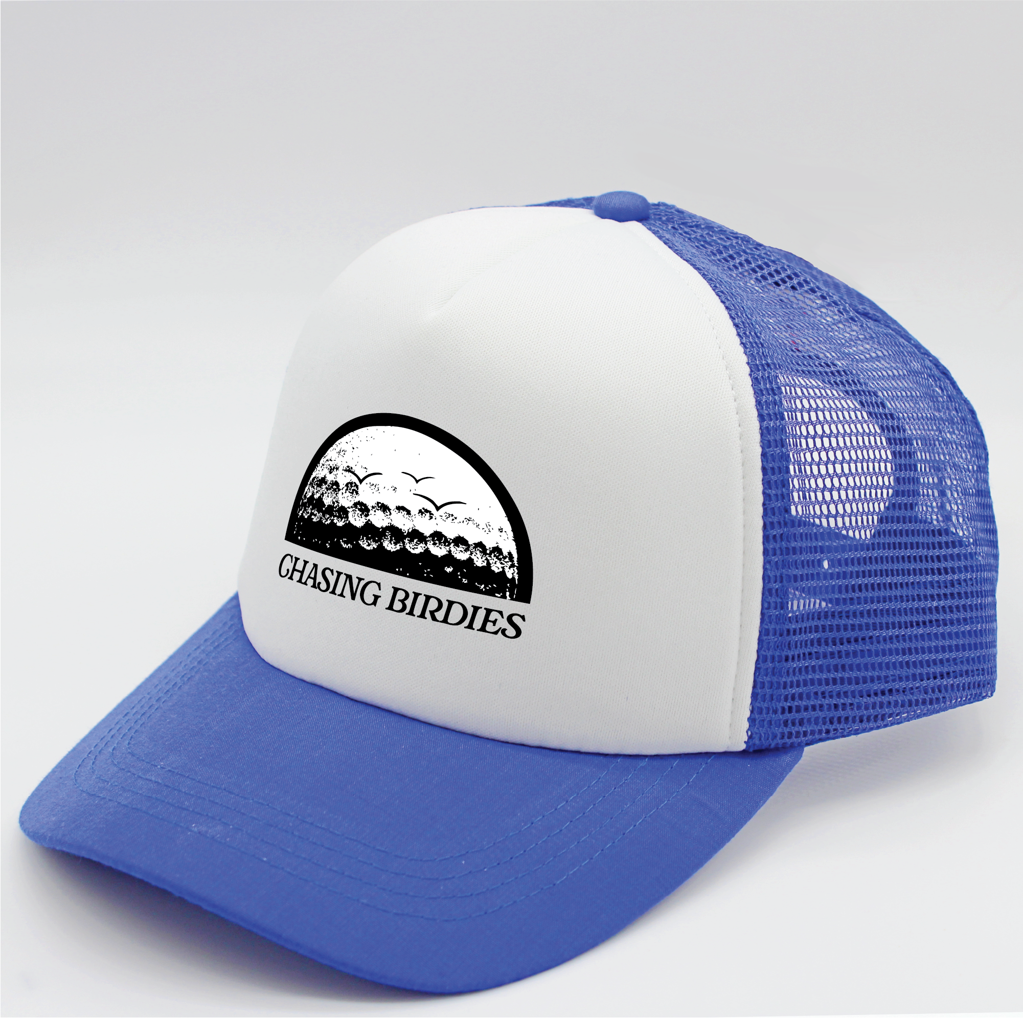 Chasing Birdies | Matching Human Hats | Duke & Daisee NZ