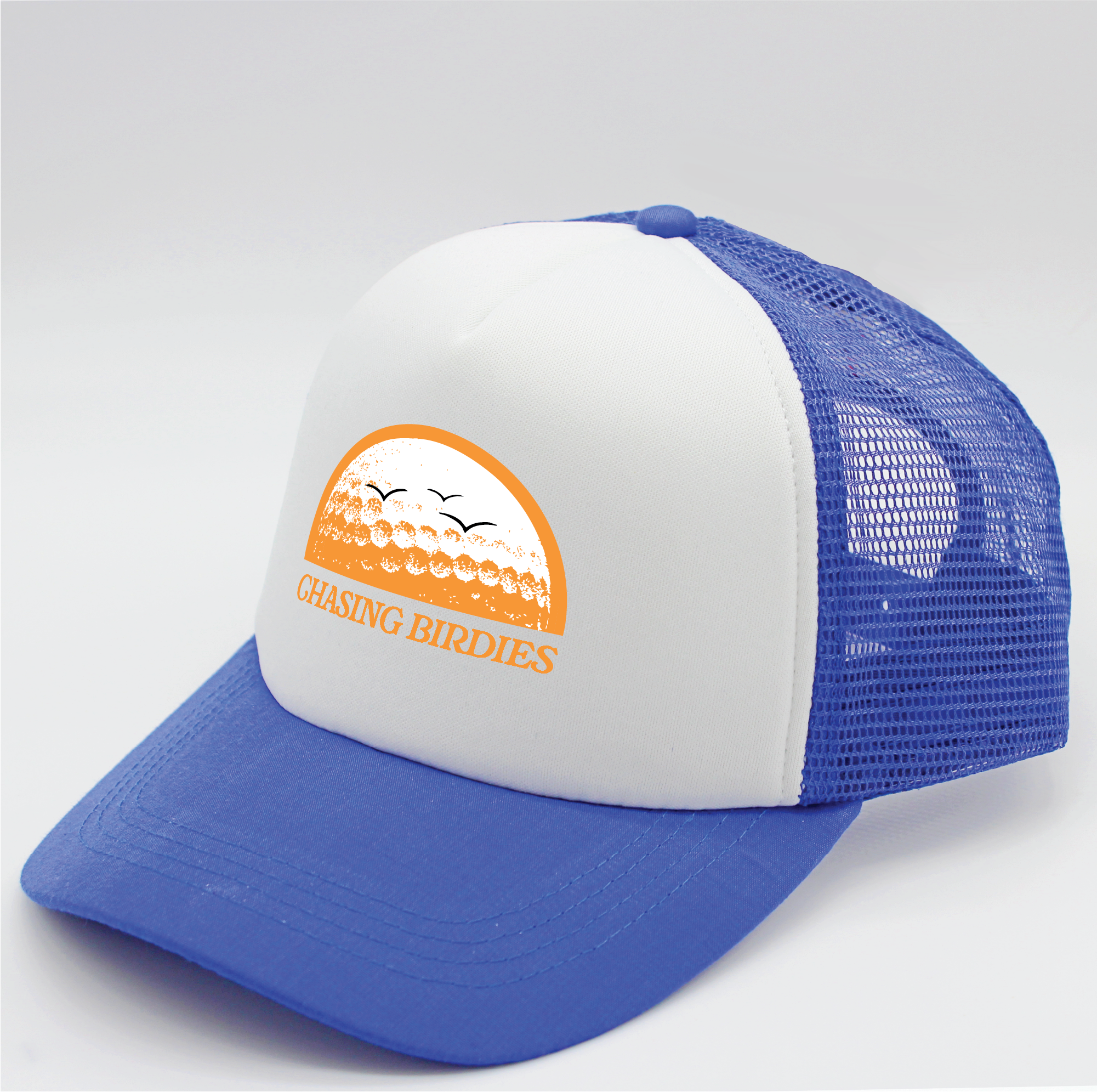 Chasing Birdies | Matching Human Hats | Duke & Daisee NZ