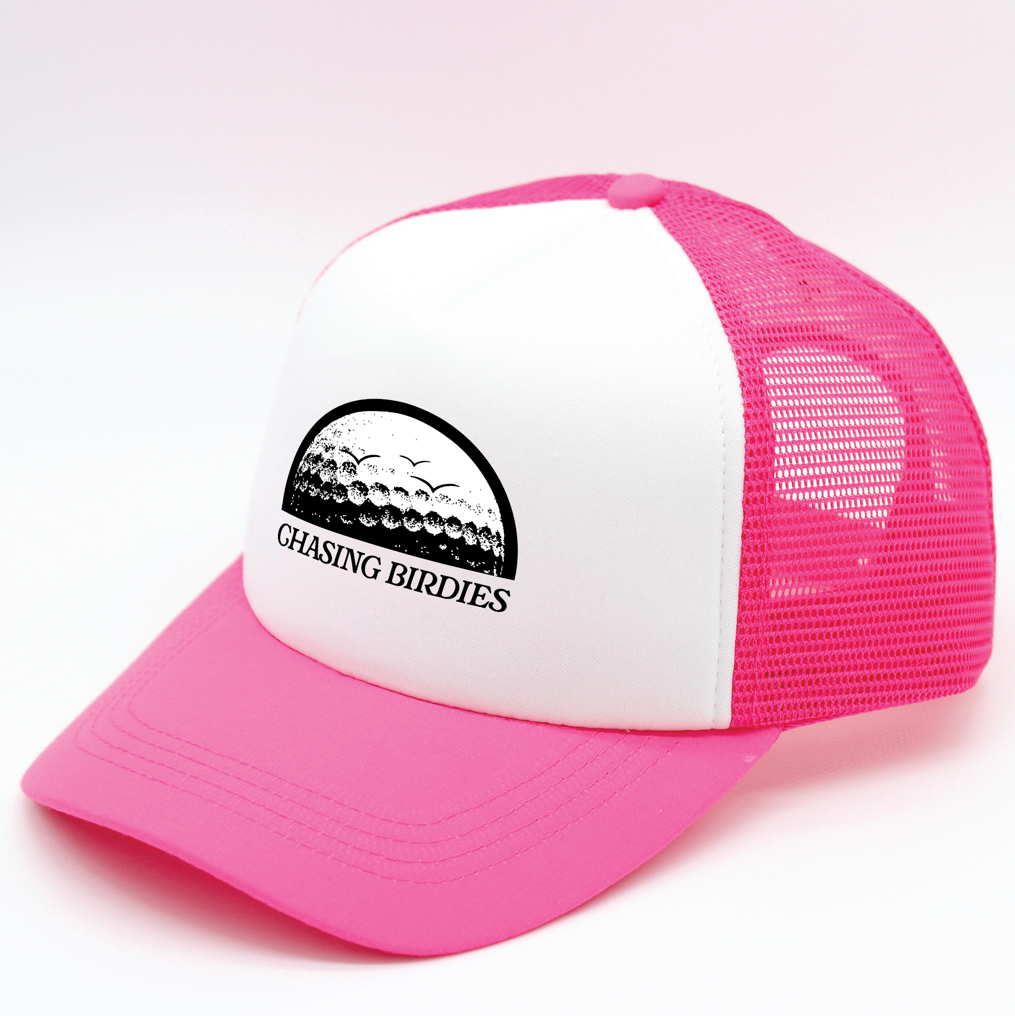 Chasing Birdies | Matching Human Hats | Duke & Daisee NZ