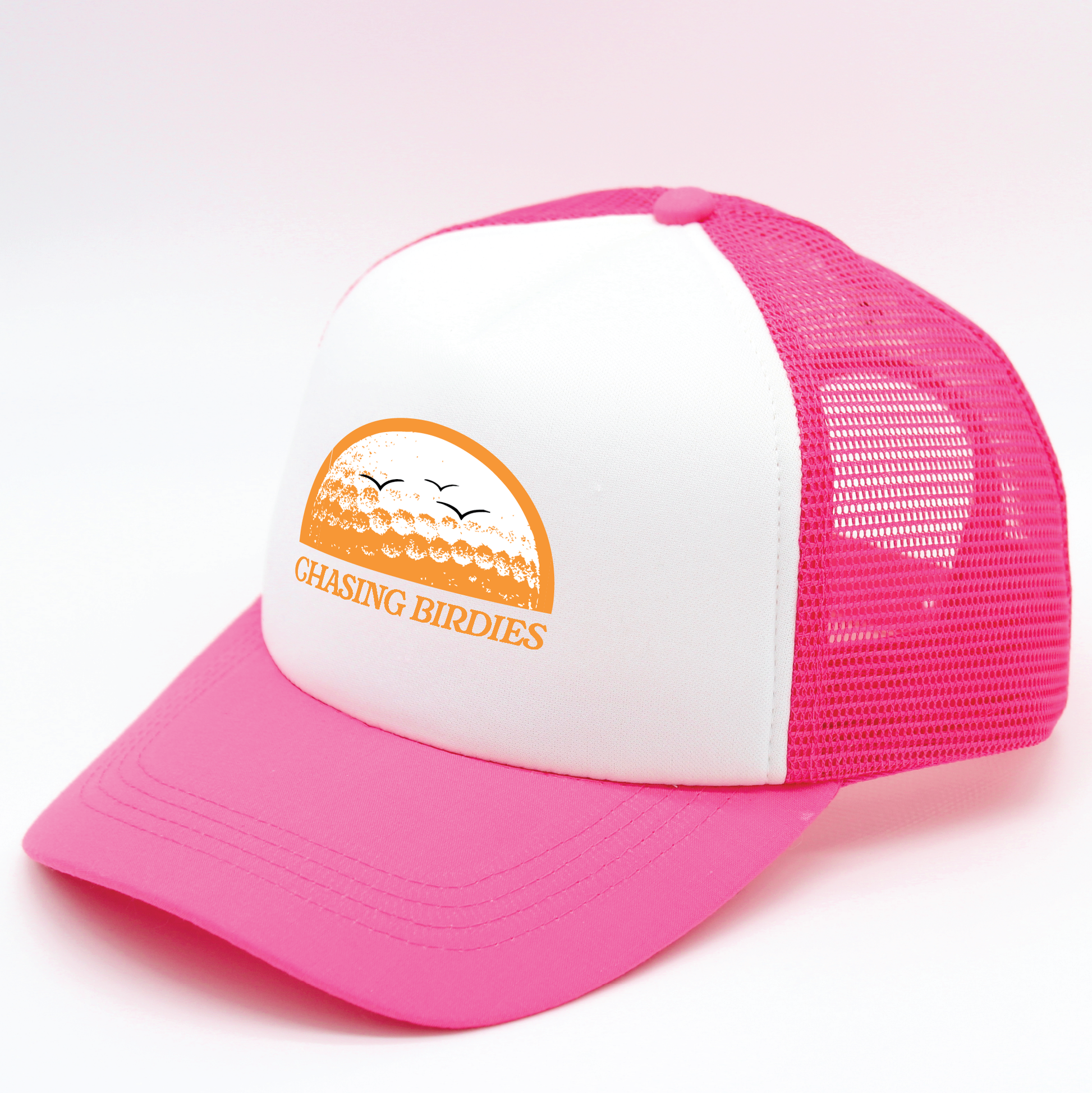 Chasing Birdies | Matching Human Hats | Duke & Daisee NZ