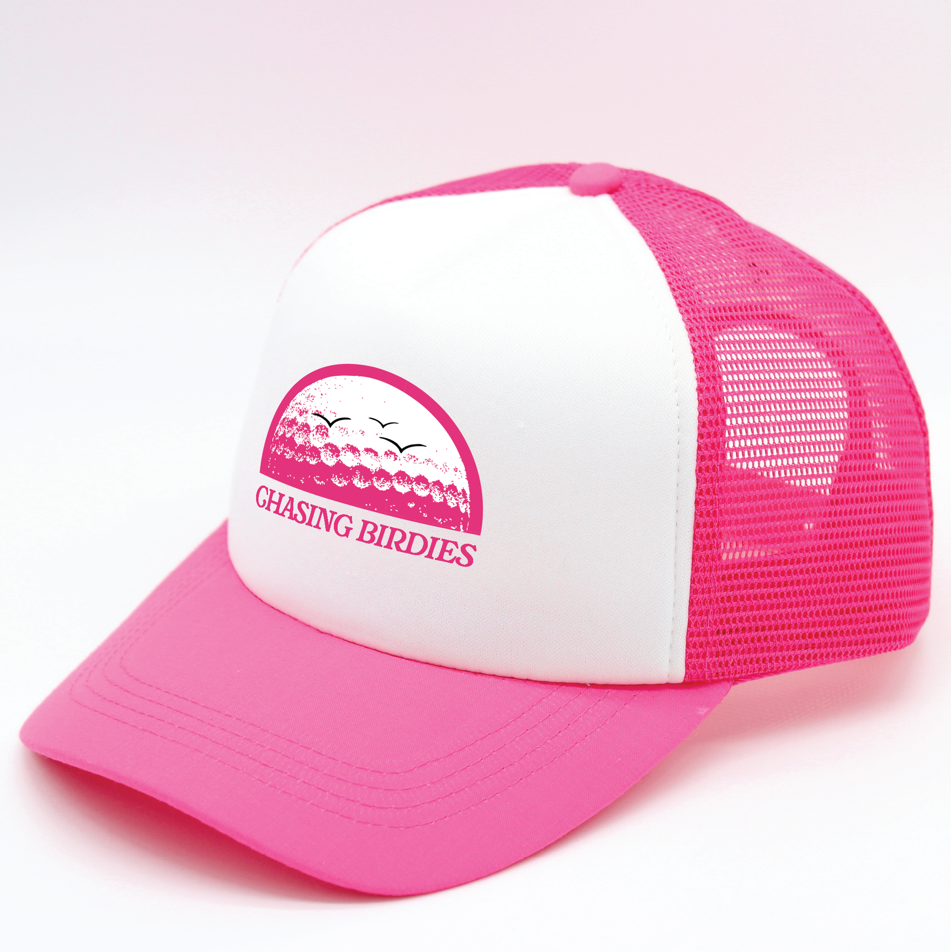 Chasing Birdies | Matching Human Hats | Duke & Daisee NZ