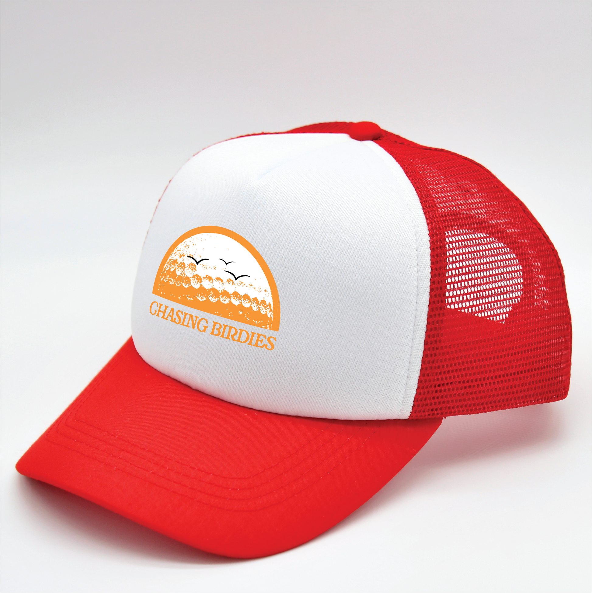 Chasing Birdies | Matching Human Hats | Duke & Daisee NZ