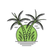 Green Sunset Twin Palms