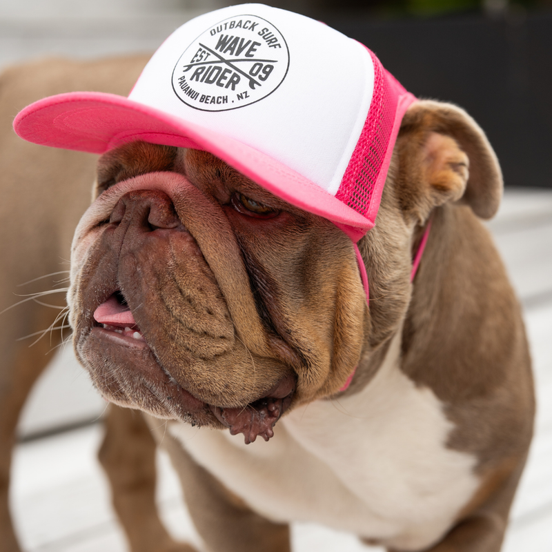 See your design come to life!